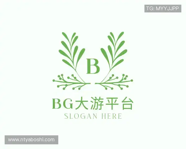 认识BG大游集团