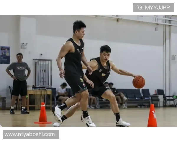 2013年广东队与北京队总决赛精彩回顾与经典瞬间分析