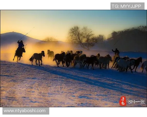 飞马与太阳的实力对比究竟谁更强大分析与探讨