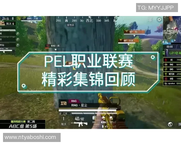 和平精英赛事分析：深入探讨RNG战队的运营策略与成功之道